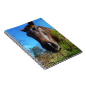 Carnet Brown et crème Couleur Cheval bleu ciel (Côté Droit)