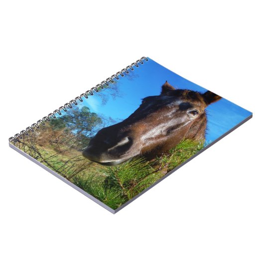 Carnet Brown et crème Couleur Cheval bleu ciel (Côté gauche)