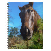 Carnet Brown et crème Couleur Cheval bleu ciel (Devant)