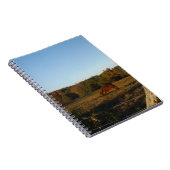 Carnet Brown horse in the Sun (Côté Droit)