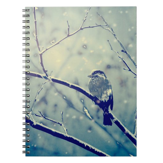 Carnet Bruant sur la branche enneigée (Devant)