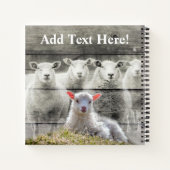Carnet Brûlure d'agneau de bébé à mouton rustique (Dos)