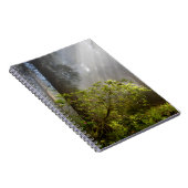 Carnet Brume matinale sur Rhododendron (Côté Droit)