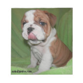 Carnet Brute Amour Bouledogue (Devant)