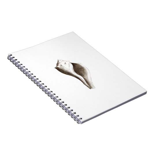 Carnet Buccin Manche (schéma) (Côté Droit)