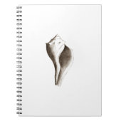 Carnet Buccin Manche (schéma) (Devant)