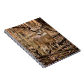 Carnet Buck de cerf à queue blanche (Côté Droit)