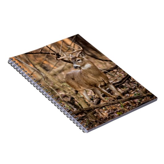 Carnet Buck de cerf à queue blanche (Côté Droit)