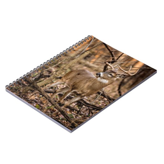 Carnet Buck de cerf à queue blanche (Côté gauche)