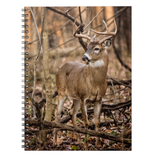 Carnet Buck de cerf à queue blanche (Devant)