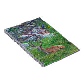 Carnet Buck de lit (Côté Droit)