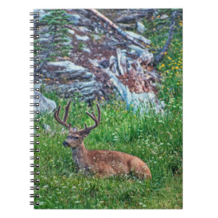Carnet Buck de lit