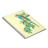 Carnet budgéraire (Côté Droit)