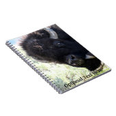 Carnet Buffle américain dans le parc national de Yellowst (Côté Droit)