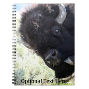 Carnet Buffle américain dans le parc national de Yellowst