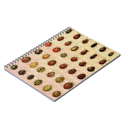 Carnet Bug d'insectes coccinelle de coccinelle (Côté gauche)