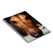 Carnet Bugs Snuggle MacKenzie (Côté Droit)