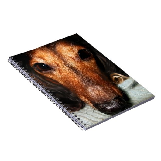 Carnet Bugs Snuggle MacKenzie (Côté Droit)