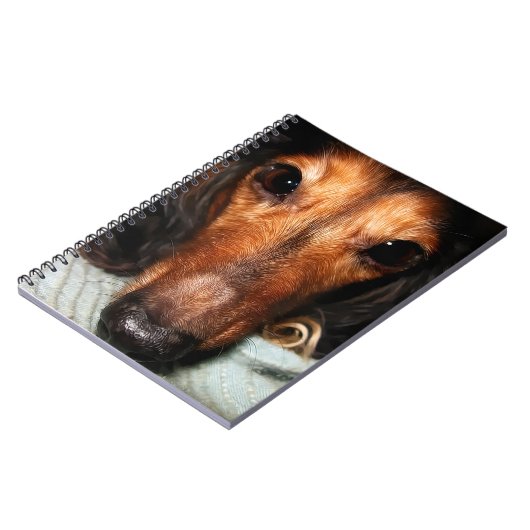 Carnet Bugs Snuggle MacKenzie (Côté gauche)