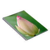 Carnet Bulbe Lily de l'eau non ouverte, Durban Botanique (Côté Droit)