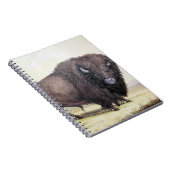 Carnet Bull Buffalo (Côté Droit)