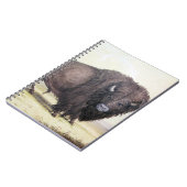 Carnet Bull Buffalo (Côté gauche)