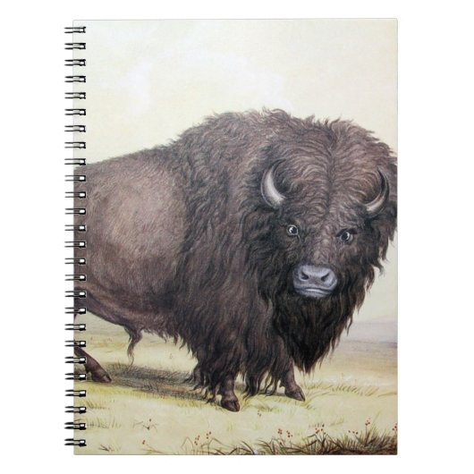 Carnet Bull Buffalo (Devant)