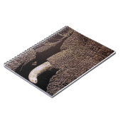 Carnet Bull Elephant (Côté gauche)