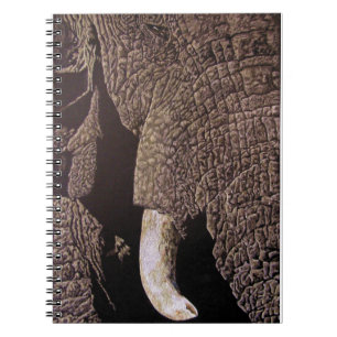 Carnet Bull Elephant