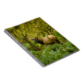 Carnet Bull Roosevelt Elk (Côté Droit)