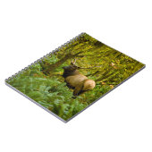 Carnet Bull Roosevelt Elk (Côté gauche)