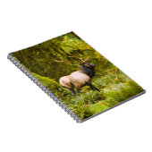 Carnet Bull Roosevelt Elk Debout Dans Le Pré (Côté Droit)