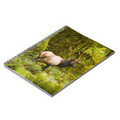 Carnet Bull Roosevelt Elk Debout Dans Le Pré (Côté gauche)