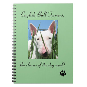 Carnet Bull-terrier anglais les clowns du monde de chien