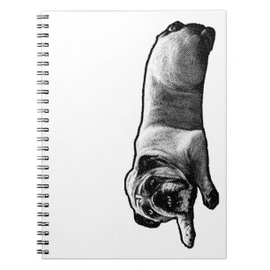 Carnet Bulldog Dans Les Marges