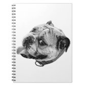Carnet Bulldog Notes (Devant)
