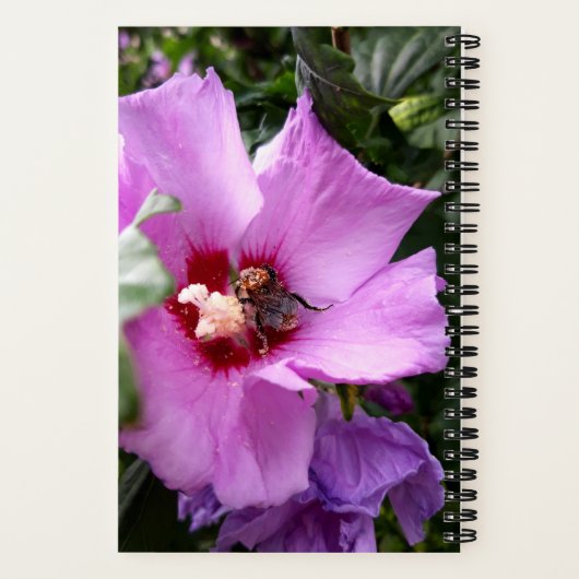 Carnet Bumblebebe sur la fleur d'Hibiscus (Verso)