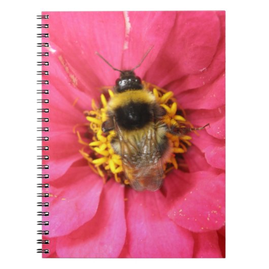 Carnet Bumblebee (Devant)