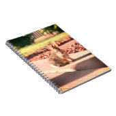 Carnet bunny rabbit photo Easter spring (Côté Droit)