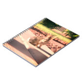 Carnet bunny rabbit photo Easter spring (Côté gauche)