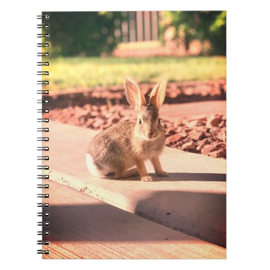 Carnet bunny rabbit photo Easter spring (Devant)