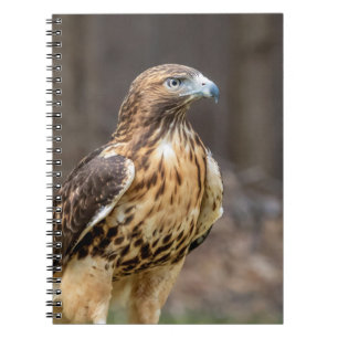 Carnet Buse à queue rouge dans la vallée de l'Hudson