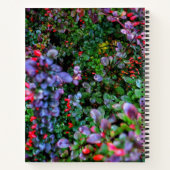 Carnet Bush complexe (Dos)