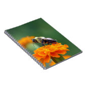Carnet Busy Bee (Côté Droit)
