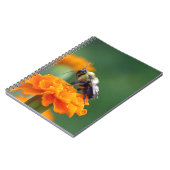 Carnet Busy Bee (Côté gauche)