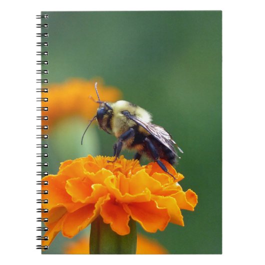 Carnet Busy Bee (Devant)