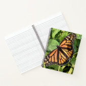 Carnet Butterfly Notebook (Intérieur)