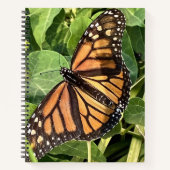 Carnet Butterfly Notebook (Devant)