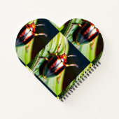 Carnet Buzz de l'amour (Dos)