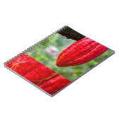 Carnet cabosse rouge (Côté gauche)